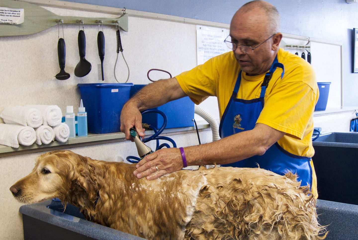 Pet Grooming Salon Disinfecting by Ecosuds